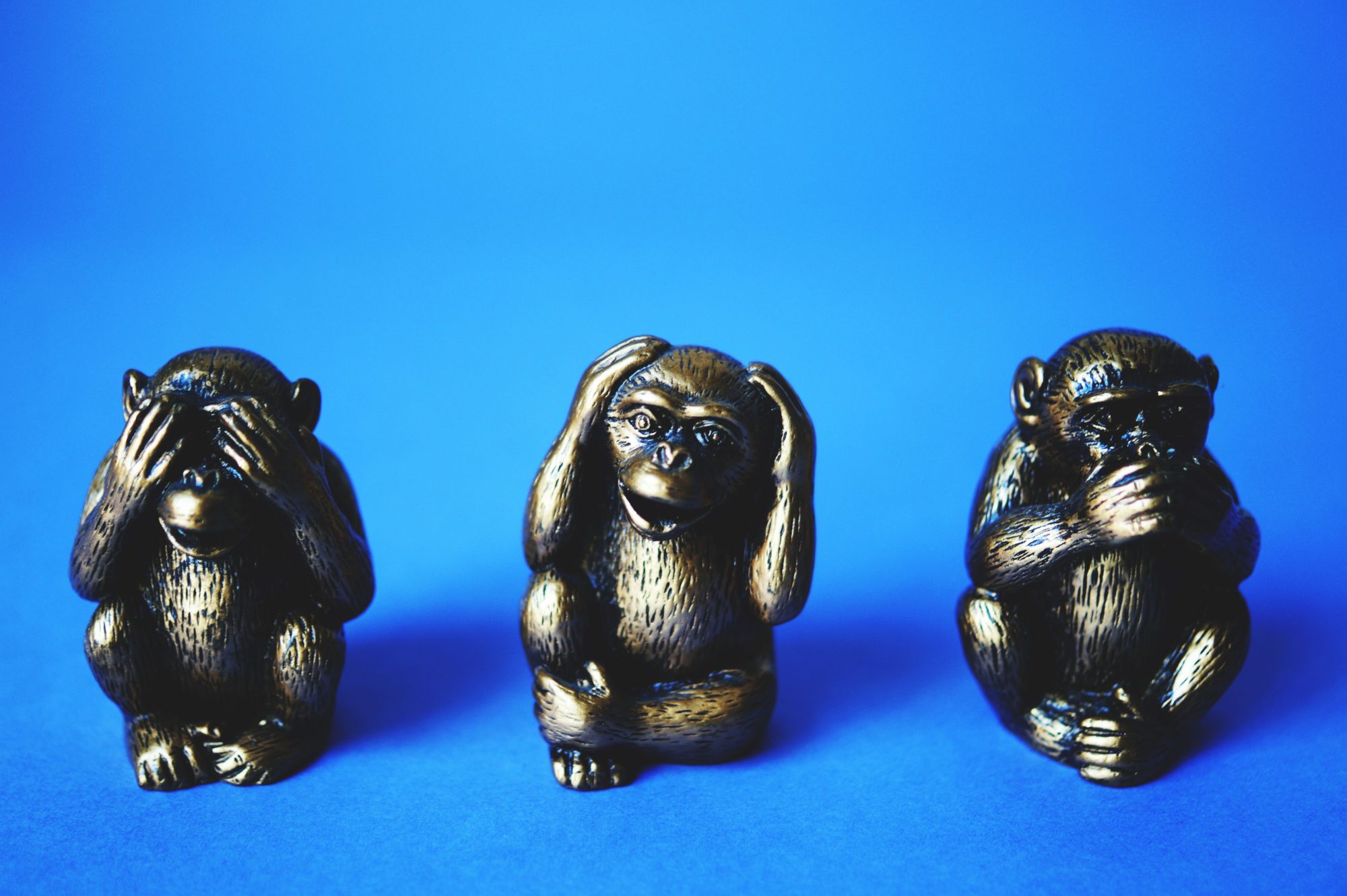 The 3 brass monkeys illustrate my text highlighting how we automatically delete, distort & generalise information to fit our perception of what is 'True'